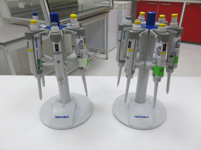 2 x Eppendorf Pipette Stands with 12 x Assorted Pipettes, Range 10-1000 (As Viewed).