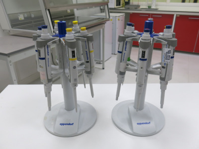 2x Eppendorf Pipette Stands with 12 x Assorted Pipettes, Range 2.5-1000 (As Viewed).