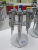 2x Eppendorf Pipette Stands with 12 x Assorted Pipettes, Range 2.5-1000 (As Viewed). - 2