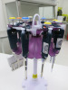 Set of 8 x Gilson Pipetman Pipettes on Stand with Original Box & Test Report for GX8200 (As Viewed). - 2