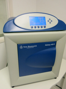 Eppendorf New Brunswick Galaxy 48R CO2 Incubator, Model C048, S/N CO48FP700587.