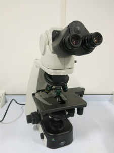 Nikon Eclipse Ci-L Microscope, S/N 704548.