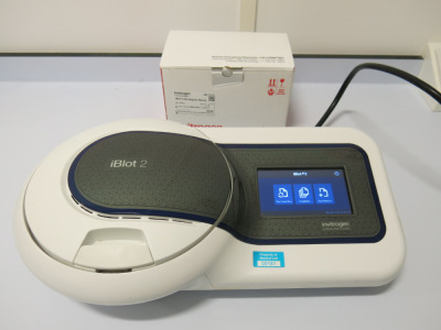 Thermo Scientific Invitrogen iBlot2 Gel Transfer Device, S/N 0309191242.