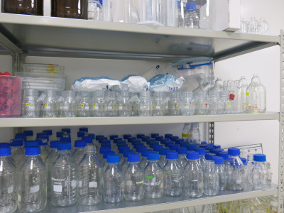 Glassware Contents of Lab 1 to Include: 2 x Bays of Racks with Large Quantity of Approx 500 x Assorted Laboratory Glassware with Various Measuring, Sample, Serum Bottles, Flasks & Jugs. NOTE: rack not included.