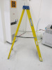 Werner 4 TreadStep Ladder, Max Capacity 150kg. - 2