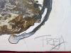 Original Absract Mixed Media on Canvas Artwork, Signed by Artist 'Freya' Titled 'Pavot' Depicting Flower in Browns, Creams & White. Size 90 x 120cm. - 2