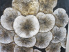Mixed Media on Canvas Artwork with Round Leafs in Silvers, Browns & Black. Size 100 x 100cm. - 4