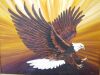 Guilt Framed, Cavnas Artwork of Golden Eagle at Sunset, Signed by Artist (Unknown) Size 97 x 122cm. - 2