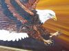 Guilt Framed, Cavnas Artwork of Golden Eagle at Sunset, Signed by Artist (Unknown) Size 97 x 122cm. - 3