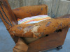 Original Antique Lounge Chair in Brown Tan Leather, Hopsack & Horse Hair with Stud Detail & Striped Cushion Seat in Very Distressed Condition. - 4