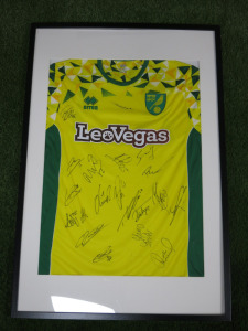 Norwich City FC, Signed Home Squad Shirt 2018/2019 Season with 19 Player Signatures (No Certificate of Authenticity). Comes in Frame Size 94 x 64cm, Mounted with Perspex, Crack in Perspex.