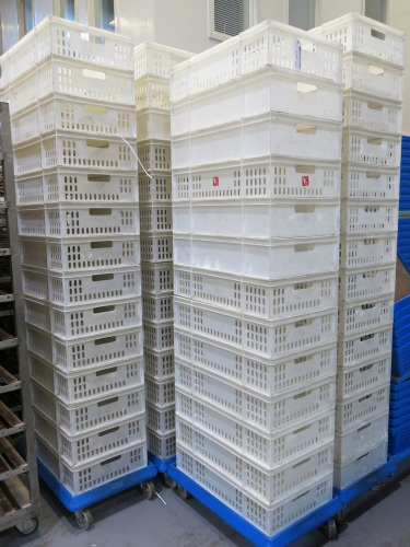 5 x Alison Plastic Trolleys with 70 White Stackable Perforated Crates. Crate Size H17 x W75 x D45cm.