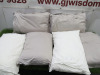 6 x Assorted Pillows with Covers. - 4