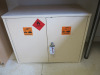 Double Door Lockable Chemical Cabinet.