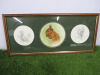 Framed & Glazed Fine Art Print of a Colour and 2 Pencil Sketches of Squirrels. Size 70 x 32cm. - 6