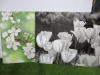 2 x Stretched Prints of Flowers. Size 115 x 88cm.