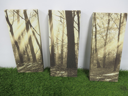 Set of 3 Woodland Print Scenes.