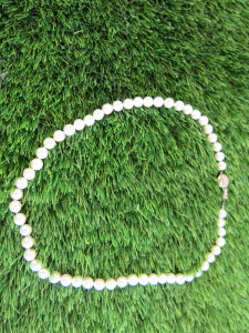 String of Pearls with 9ct Gold Hasp.