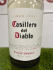 12 x Bottles of Assorted White Wine to Include: The Shy Pig, Casillero Del Diablo, Echo Falls, 75cl. - 2