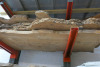 Shelf Containing 5 x Slabs of Elm. Size Approx L2.4M x W70cm x Thickness 4-6cm. - 3