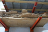 Shelf Containing 5 x Slabs of Elm. Size Approx L2.4M x W70cm x Thickness 4-6cm. - 4