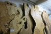 10 x Assorted Lengths of Timber. Size L2.8M x W100cm x D5-7cm & 3 x Assorted Sized Off Cuts. - 5