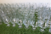 Approx 143 Pieces of Glass Ware to Include: 4 x Water Jugs, 13 x Assorted Milk Shake Jars, 15 x Assorted Ice Cream Dishes, 13 x Wine Glasses, 16 x Assorted Cocktail Glasses, 6 x Brandy Glasses & 76 x Water Glasses. - 4