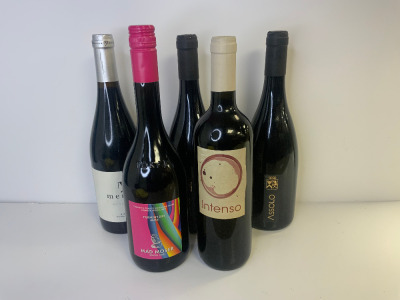 5 x Red Wines to Include: 2 x IGT Umbria Rosso, Assolo Biologico, 2017, 75cl. 1 x Iyi Merayo, Mencia, 2022, 75cl. 1 x Furmint Dry MM5, Mad Moser Tokaj, 2021, 75cl. 1 x IGT Umbria Rosso, Intenso, 2019, 75cl.