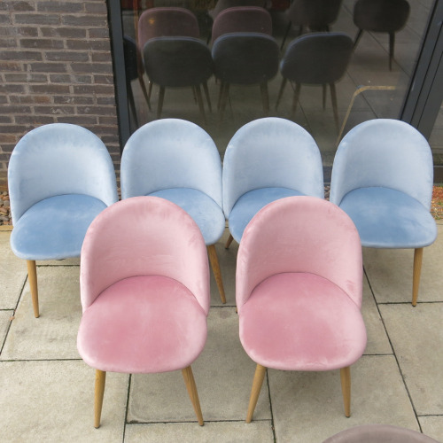 6 x Velour Upholstered Dining Chairs to Include: 2 x Pink & 4 x Blue.