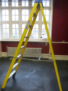 Werner 7 Tred Fibreglass Step Ladder.