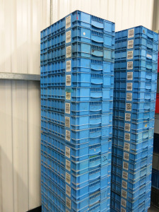 18 x Light Blue Stacking Crates.