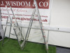 2 x Step Ladders to Include: 1 x Youngman 5 Tread Step Ladder & 1 x 6 Tread Step Ladder. - 3