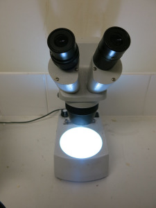 Brunel Microscope.