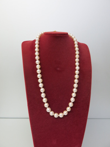 String of White Cultured 7mm Pearls, 16". RRP 850.