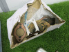 Crate of 16 x Aluminium Thermostat Housing Covers, Plus Box of Misc Housing Gaskets. - 7
