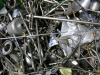 Large Crate Containing Very Large Qty of Assorted Used Carburettor Parts and Linkages. - 4