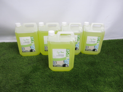 5 x 5L Syclean Machine Detergent.