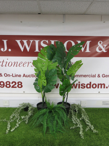 5 x Artificial Plants to Include: 2 x Cheese Plants, 1 x Fern & 2 x Others.
