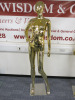 3 x Female Form Gloss Finish Mannequins to Include: 2 x Gold & 1 x Silver. - 4