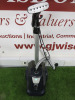 Sabi Garment Steamer, Model SX3.