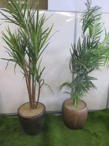 2 x Faux Plants in Plant Pots to Include: 1 x Yucca & 1 x Palm. Size H190cm.