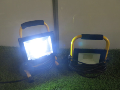 2 x 30w Portable Led Lights.