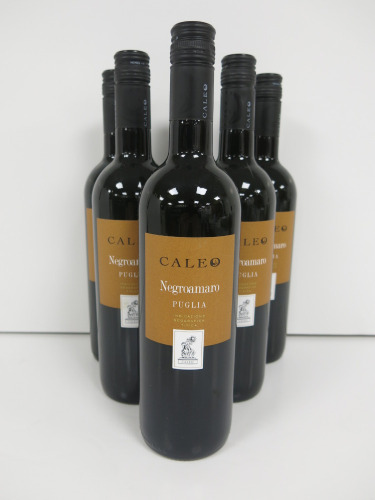 6 x Bottles of Caleo Negroamaro Puglia Red Wine, 2022, 75cl.