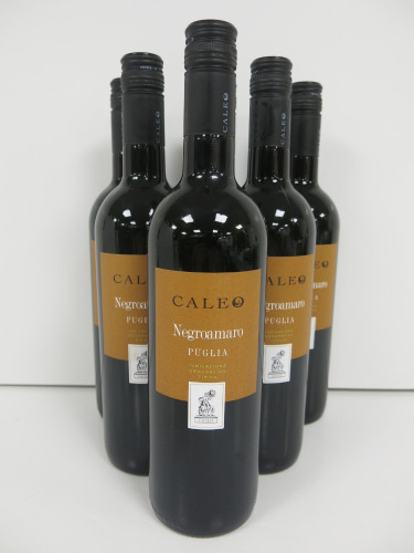 6 x Bottles of Caleo Negroamaro Puglia Red Wine, 2022, 75cl.
