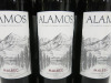 6 x Alamos Malbec 2023 Red Wine, 75cl. - 2
