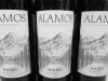 6 x Alamos Malbec 2023 Red Wine, 75cl. - 2