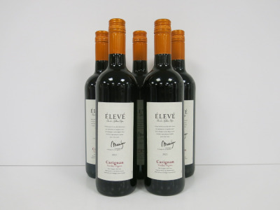 5 x Bottles of Eleve Carigan 2021 Red Wine, 75cl.