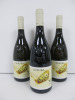 4 x Bottles of I Vigneri Aurora White Wine, 2023, 75cl.