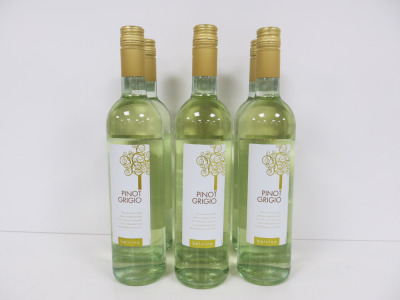 5 x Pinot Grigio Belvino 2024 White Wine, 7850ml.