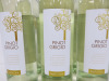 5 x Pinot Grigio Belvino 2024 White Wine, 7850ml. - 2